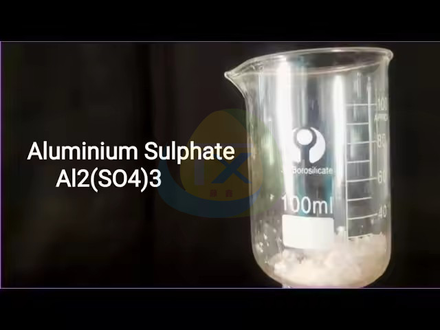 TXTX Factory Sulfate Aluminium Price Cas 10043-01-3 Aluminum Sulfate Powder 17% Al2(SO4)3 for Water Treatment